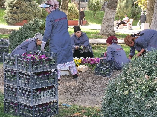 Gartenpflege rund um den Registan Platz