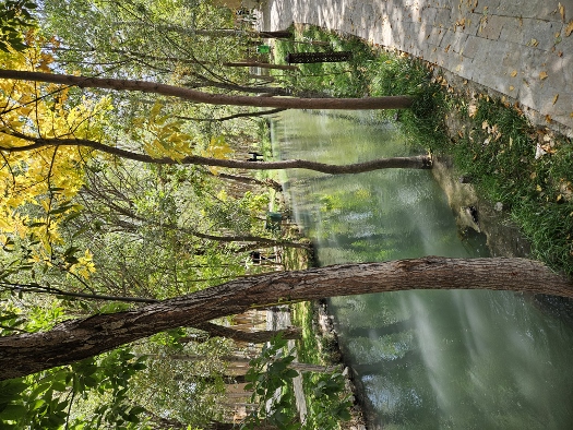 Spaziergang durch`s Gemüse