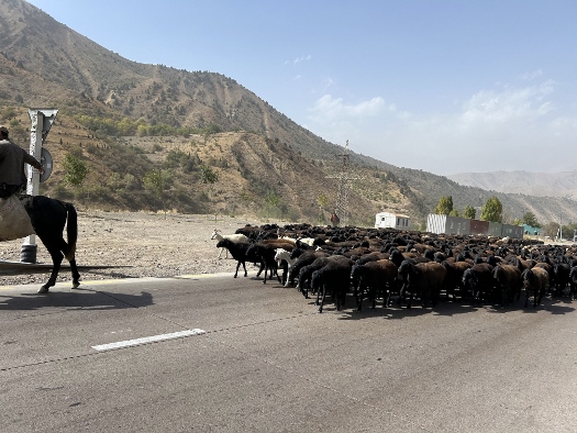Auf dem Weg ins Fergana Tal