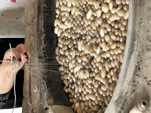 Wie die edlen Seidenstoffe entstehen