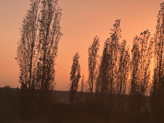 Zurück nach Taschkent - mit dem Zug durch die Berge