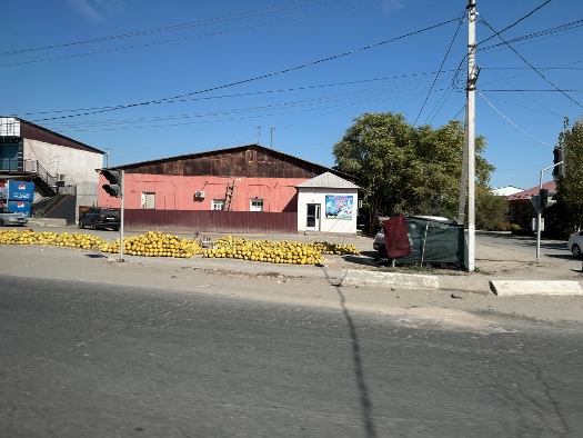 Landpartie nach Buchara