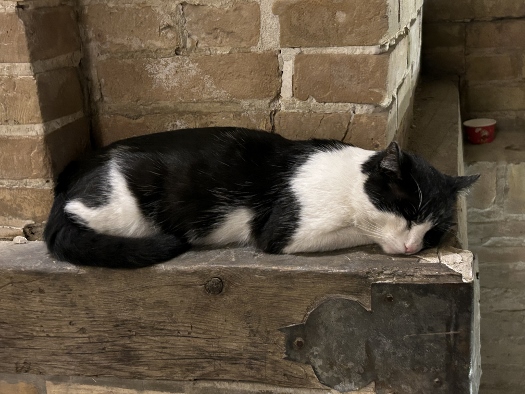 Lass mir doch meine Ruhe!