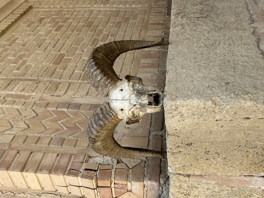 Chor Bakr Memorial Komplex