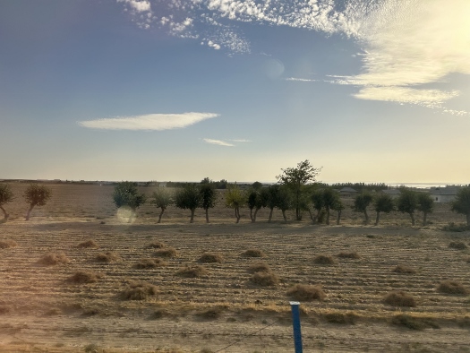 Unterwegs im Afrosiyob von Buchara nach Samarkand