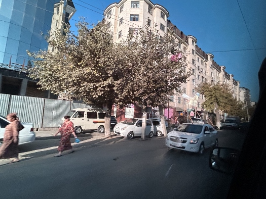 Rush Hour in Samarkand