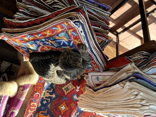 That's how I feel right now...