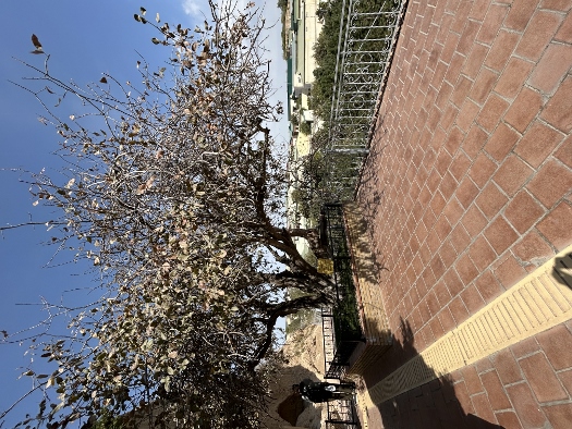 Mausoleum des heiligen Daniel