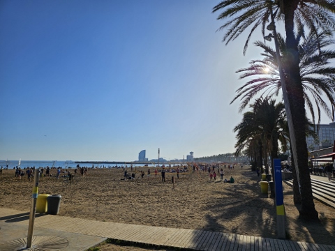 Sommer im Februar