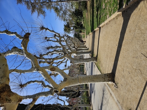 Parc de la Ciutadella