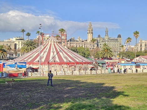 Circus Raluy Legacy