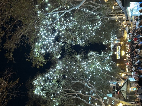 Christmas in Barcelona