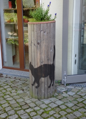 DSC06535