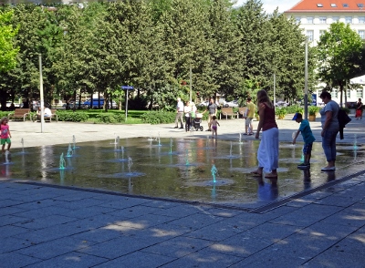 DSC06547