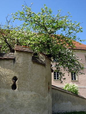 Kloster Weltenburg