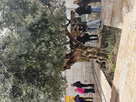 Rossio (eigtl. Praça de D. Pedro IV)