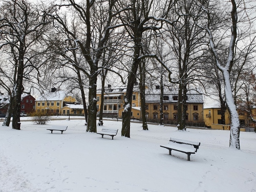 Djurgarden