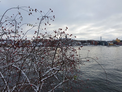 Djurgarden - Waldemarsudde