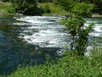 P1050772