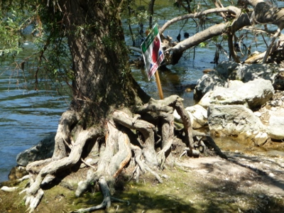 P1050775