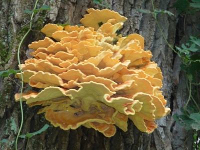 P1060202