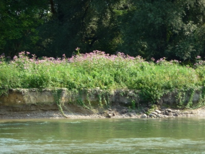 P1060209