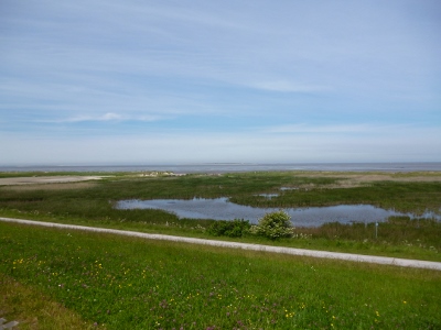 P1010384
