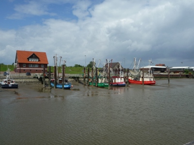 P1040867