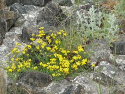 P1040994