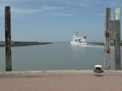 P1050004