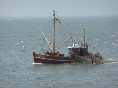 P1050014