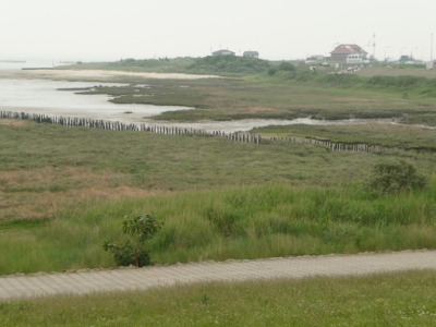 P1050146