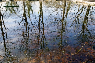 DSC00067