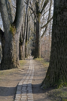 DSC00068