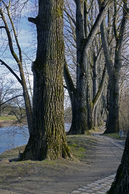 DSC00076