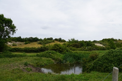 DSC00403