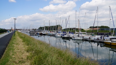 DSC00445