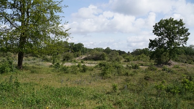 DSC00773