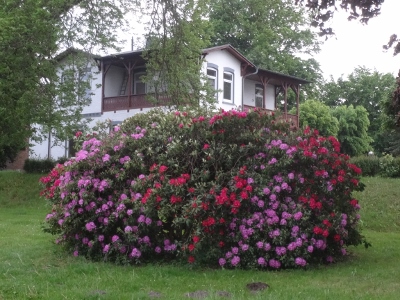 DSC03009