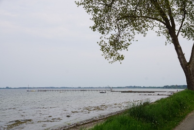 DSC05806