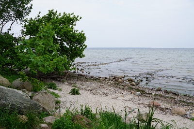 DSC05807