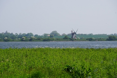 DSC05813