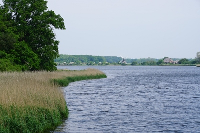 DSC05815