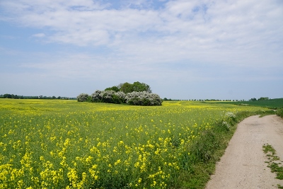 DSC05824
