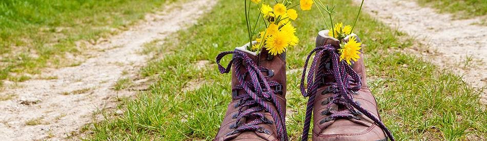 header_wandern